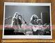 Grateful Dead Miami Jai-alai 1978 Rare Unseen Image Xl True Archival Photo 17x22