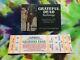 Grateful Dead Backstage Pass & Ticket Horse Richfield Oh 9/8/93 Unused Rare