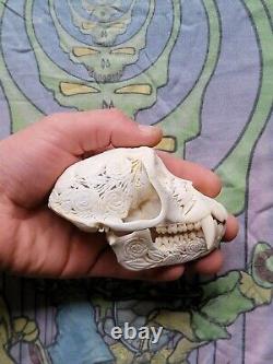 Grateful Dead Dancing Bear Hand Carved Real Monkey Skull EXTREMELY RARE