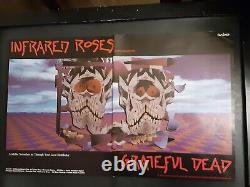 Grateful Dead Infrared Roses Rare Original Promo Poster Ad Framed
