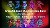 Grateful Dead Playing In The Band Jams Only Late 74 7 19 8 4 8 6 9 11 U0026 9 18