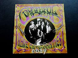 Grateful Dead Rare Cuts & Oddities 1966 CD Jerry Garcia Bob Weir Pigpen GDP 2005