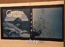 Grateful Dead Rare Wake Of The Flood Promo Poster 2 Sided Original 1st Print Nm