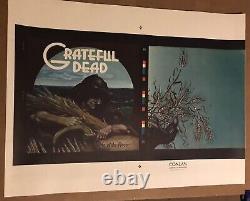 Grateful Dead Rare Wake Of The Flood Promo Poster 2 Sided Original 1st Print Nm