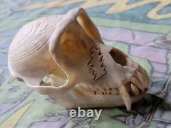 Grateful Dead Steal Your Face Carved Real Monkey Skull EXTREMELY RARE