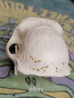 Grateful Dead Terrapin Station Hand Carved Real Monkey Skull EXTREMELY RARE