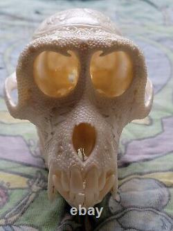 Grateful Dead Terrapin Station Hand Carved Real Monkey Skull EXTREMELY RARE