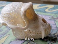 Grateful Dead Terrapin Station Hand Carved Real Monkey Skull EXTREMELY RARE