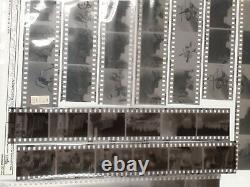 ORIGINAL ULTRA RARE 1977 Florida Grateful dead vintage photo negatives2