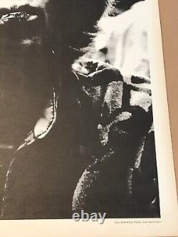 Rare Grateful Dead Poster 1967 Phil Lesh Smoking Joint Candid Photo 23x17.5