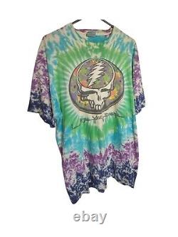 Rare authentic single stitch Steal your Fractal Grateful Dead tee Medium