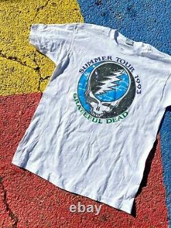 VTG Grateful Dead Summer Tour 1993 Rare Colorway Tour Shirt Graphic Tee USA XL