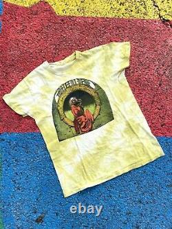 Vintage 70s Grateful Dead 1975 Blues for Allah Rare green tie dye color USA sz L