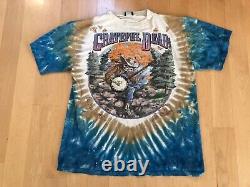 Vintage Grateful Dead 1994 Fall Tour T-shirt-Tye Dye-Liquid Blue tag! RARE
