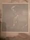 Vintage Grateful Dead Phil Lesh 1996 Gdm Green Window Decal. Rare